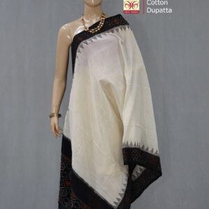 Pochampally Ikat Dupatta